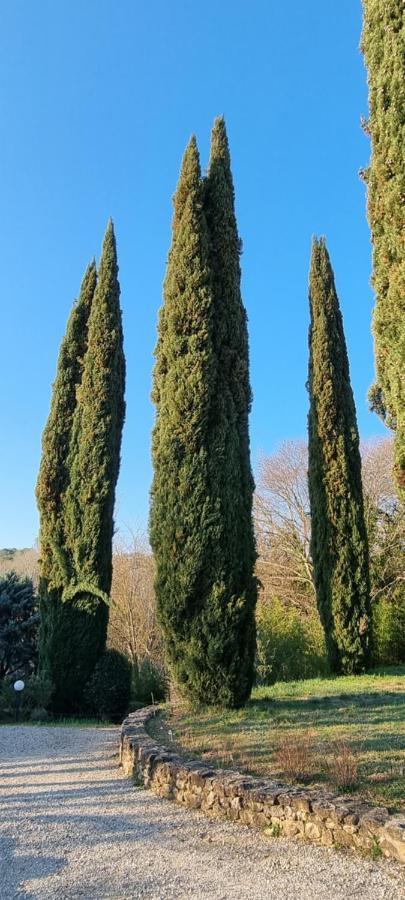 Domaine Du Moulin De Cors 호텔 La Roque-sur-Cèze 외부 사진